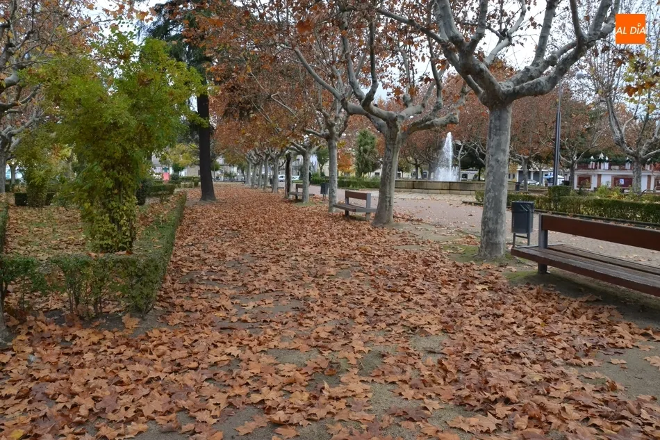 1Foto: Mar de otoño en La Glorieta  