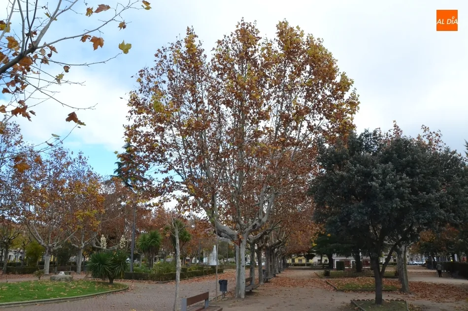 Foto 10 - 1Foto: Mar de oto&ntilde;o en La Glorieta  