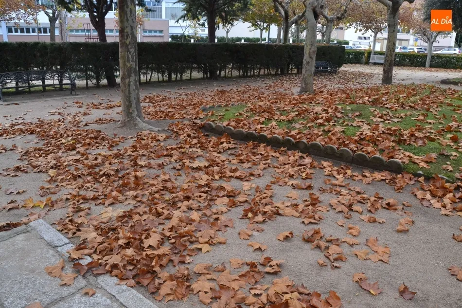 Foto 4 - 1Foto: Mar de oto&ntilde;o en La Glorieta  