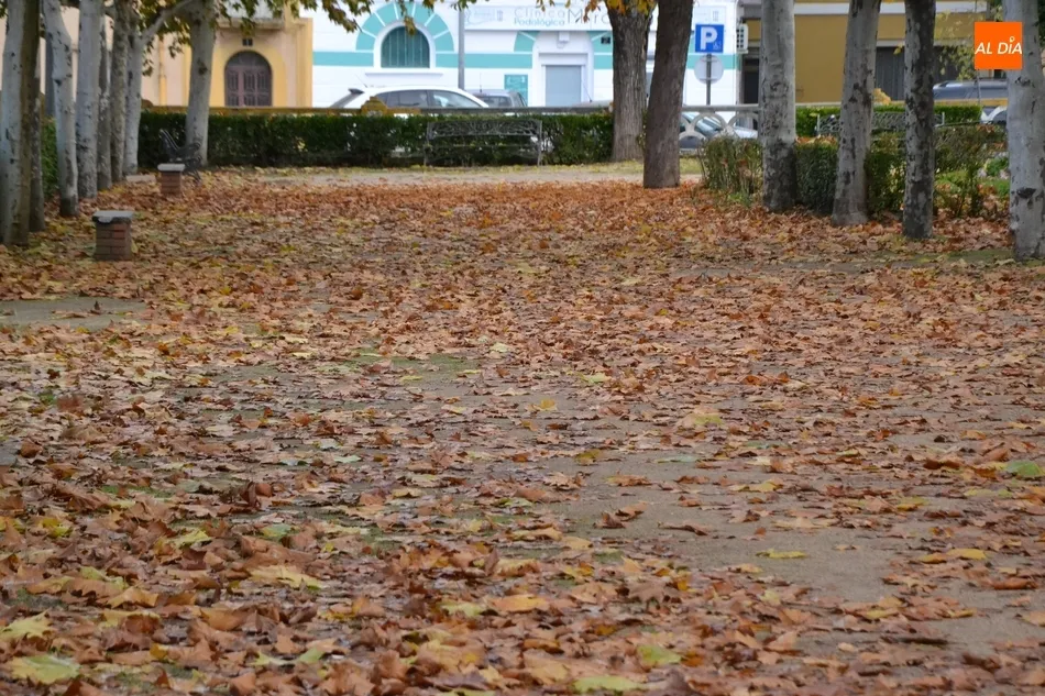 Foto 6 - 1Foto: Mar de oto&ntilde;o en La Glorieta  