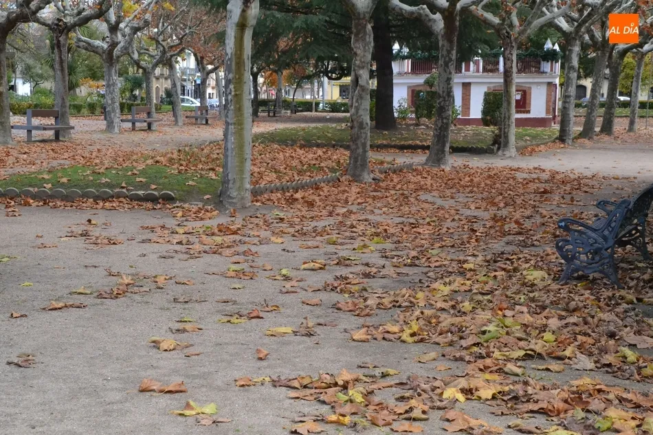 Foto 3 - 1Foto: Mar de oto&ntilde;o en La Glorieta  