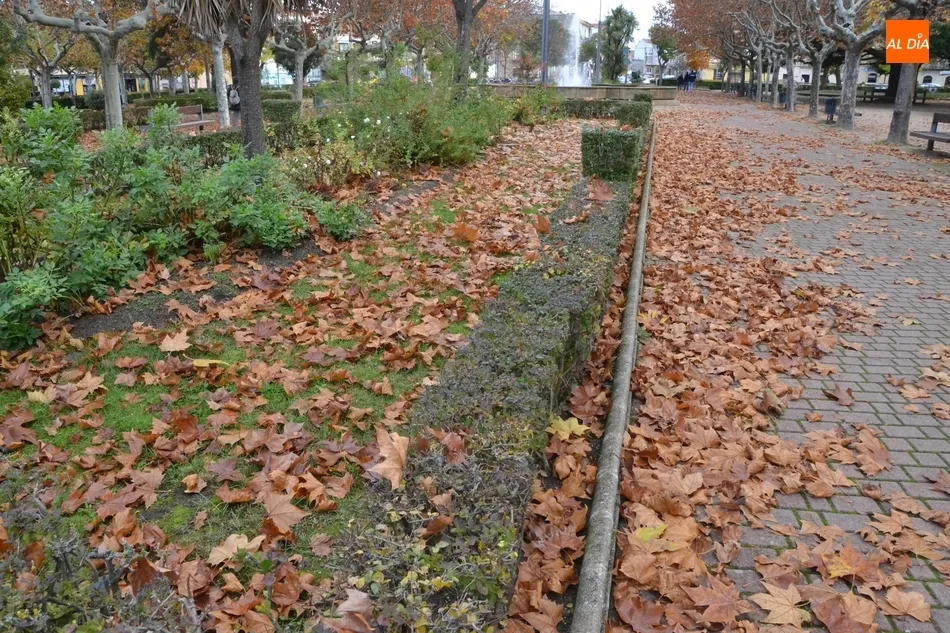Foto 5 - 1Foto: Mar de oto&ntilde;o en La Glorieta  