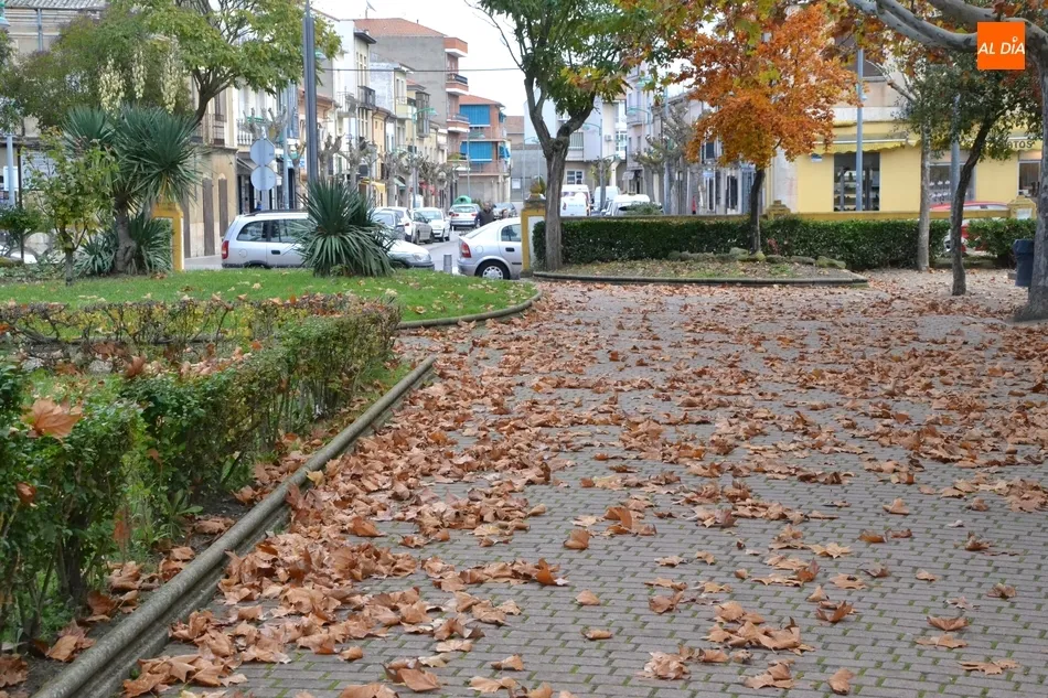 Foto 2 - 1Foto: Mar de oto&ntilde;o en La Glorieta  