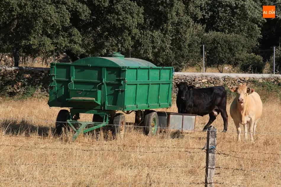 Las elecciones europeas de mayo puede retrasar la entrada en vigor de la nueva PAC cuatro años. Foto: Alberto Martín