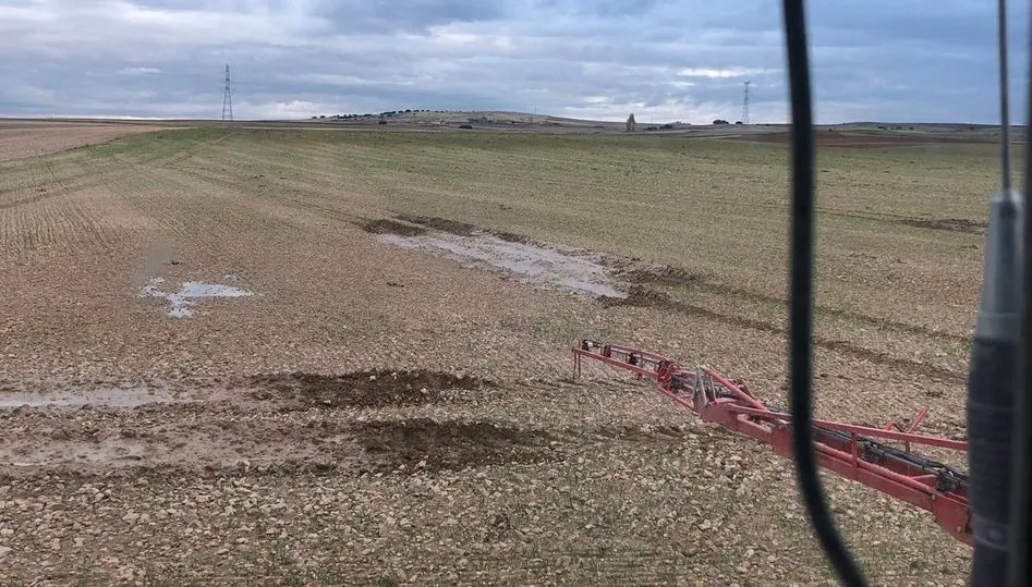 Castilla y León ha sembrado la mitad de las hectáreas de cereal  por el exceso de agua en las parcelas