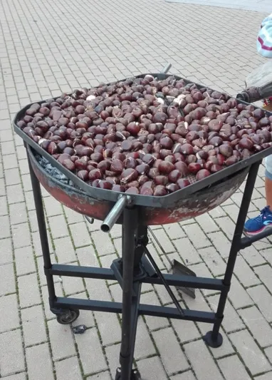 Foto 9 - Tradicion, sabores y ambiente se unen en la Fiesta de la Casta&ntilde;a en Macotera