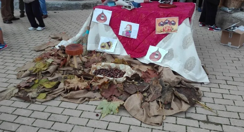 Foto 6 - Tradicion, sabores y ambiente se unen en la Fiesta de la Casta&ntilde;a en Macotera