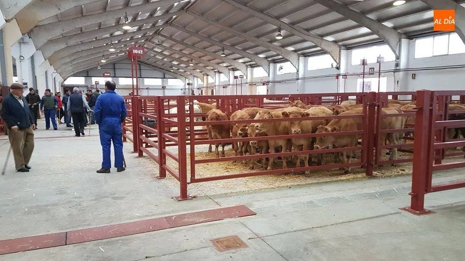 Imagen de archivo del Mercado de Ganado