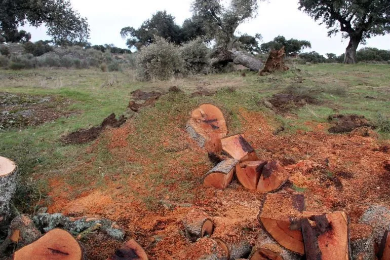 La justicia desestima el recurso presentado por Stop Uranio contra el Ayuntamiento de Retortillo  