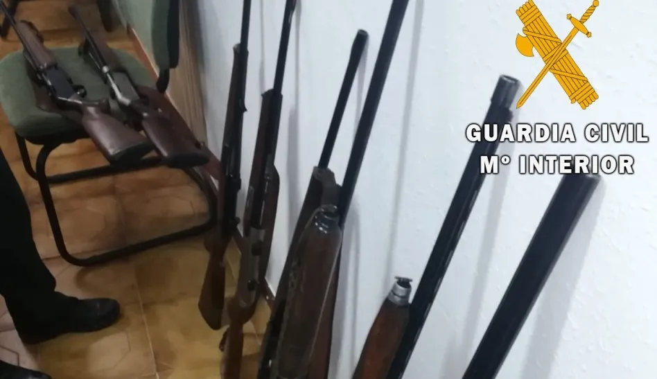 Algunas de las armas intervenidas