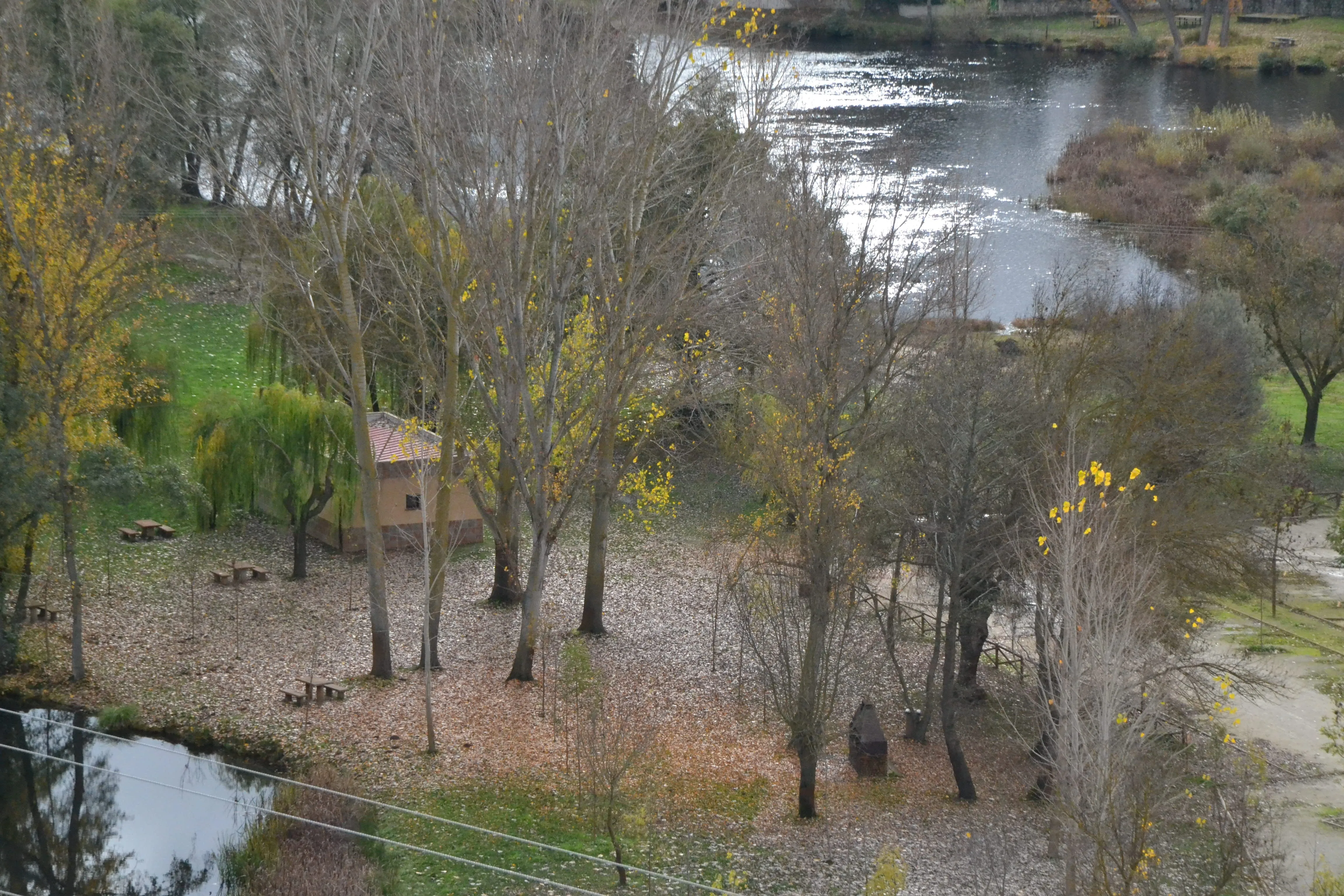 1Foto: El manto otoñal de la isla del Picón  