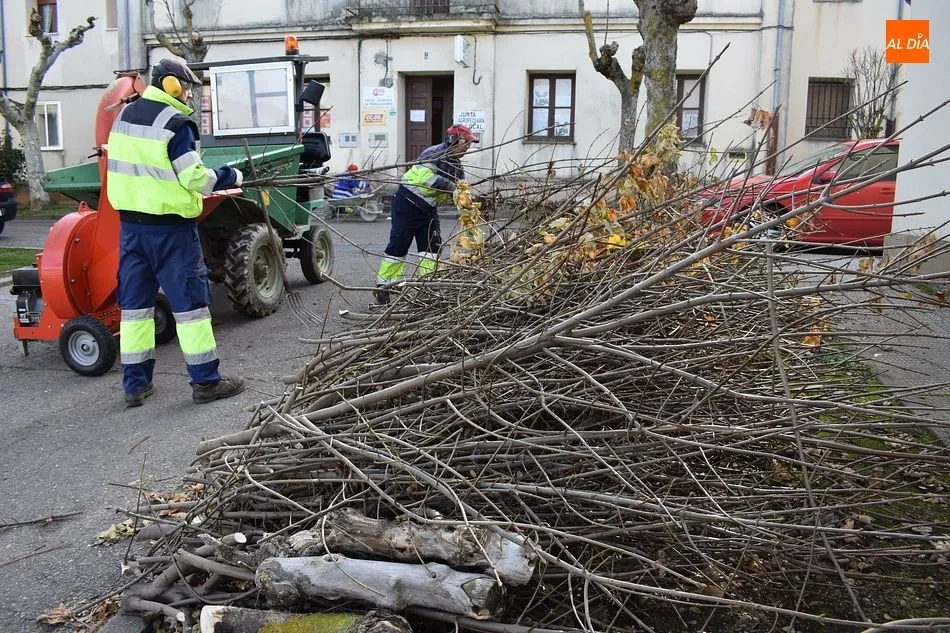 Los operarios municipales llevan semanas podando setos y árboles en las zonas verdes