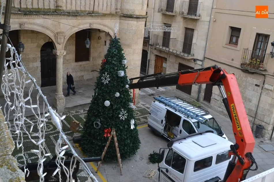 Foto 7 - Colocado el &Aacute;rbol de Navidad de la Plaza Mayor, que estrena posici&oacute;n  