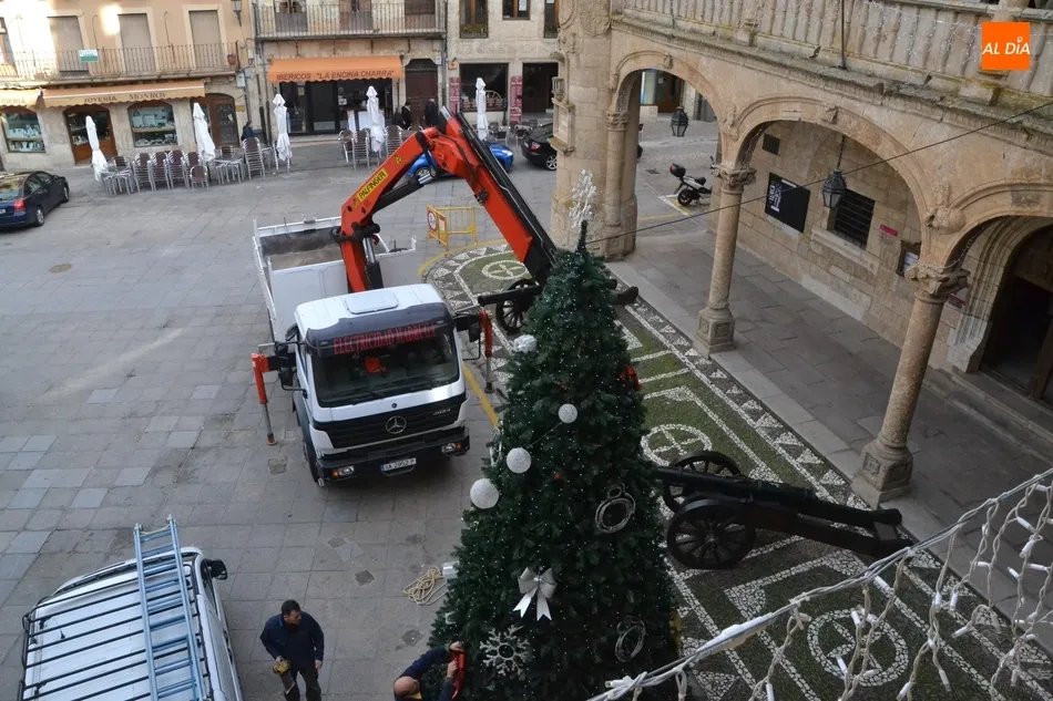 Foto 6 - Colocado el &Aacute;rbol de Navidad de la Plaza Mayor, que estrena posici&oacute;n  