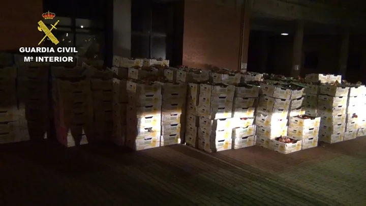 Foto 4 - La Guardia Civil de Salamanca se incauta de 1.335 kilos de hach&iacute;s
