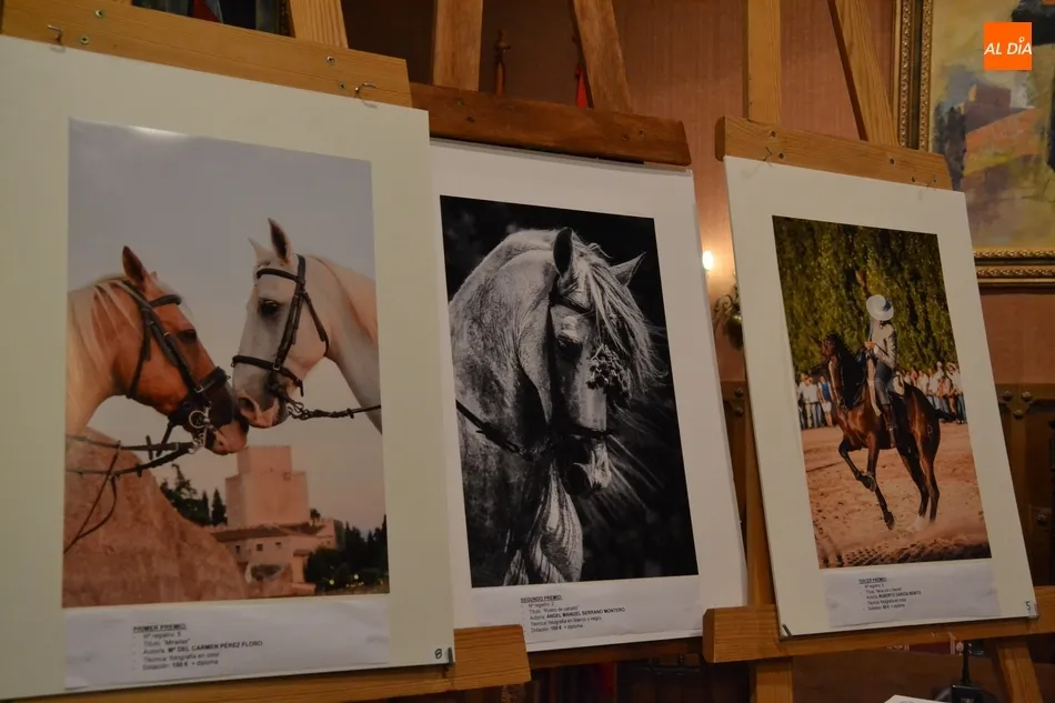 Foto 2 - Entregados los premios del Concurso de Fotograf&iacute;a de la Feria del Caballo  