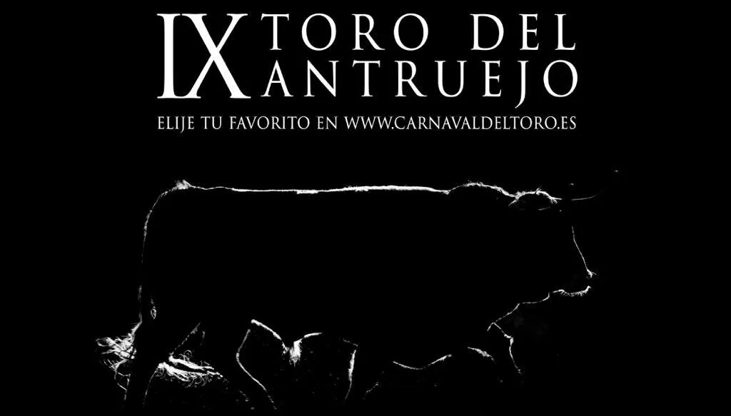 La próxima semana será elegido el Toro del Antruejo 2019  