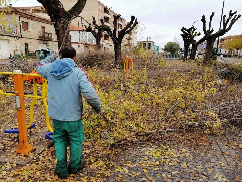 Foto 3 - Los &aacute;rboles de la Avenida de Salamanca, objeto de una intensa poda  
