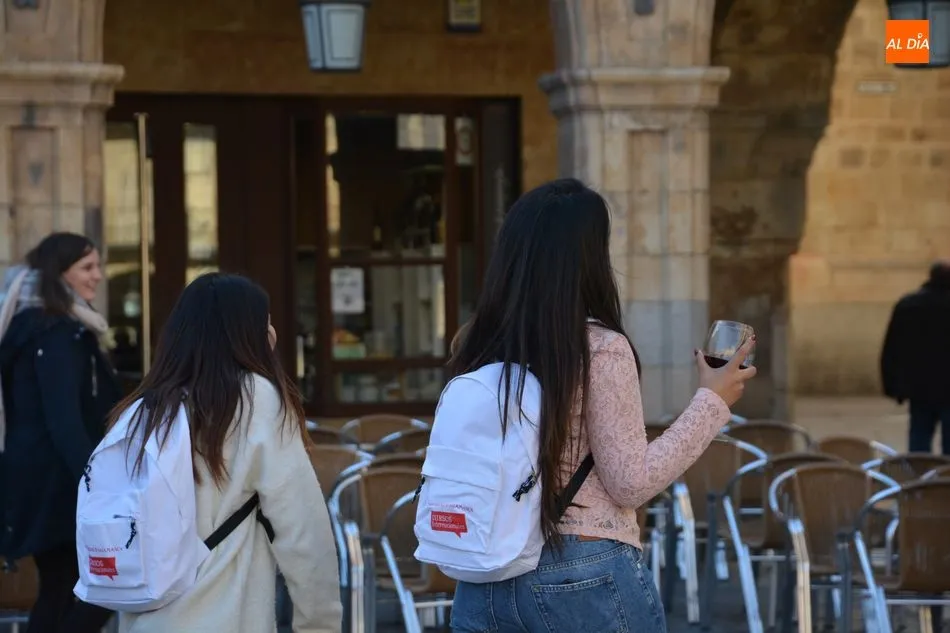 Foto 3 - Cerca de un centenar de personas protagonizar&aacute;n un &lsquo;lipdub&rsquo; en la Plaza Mayor y el Patio de...