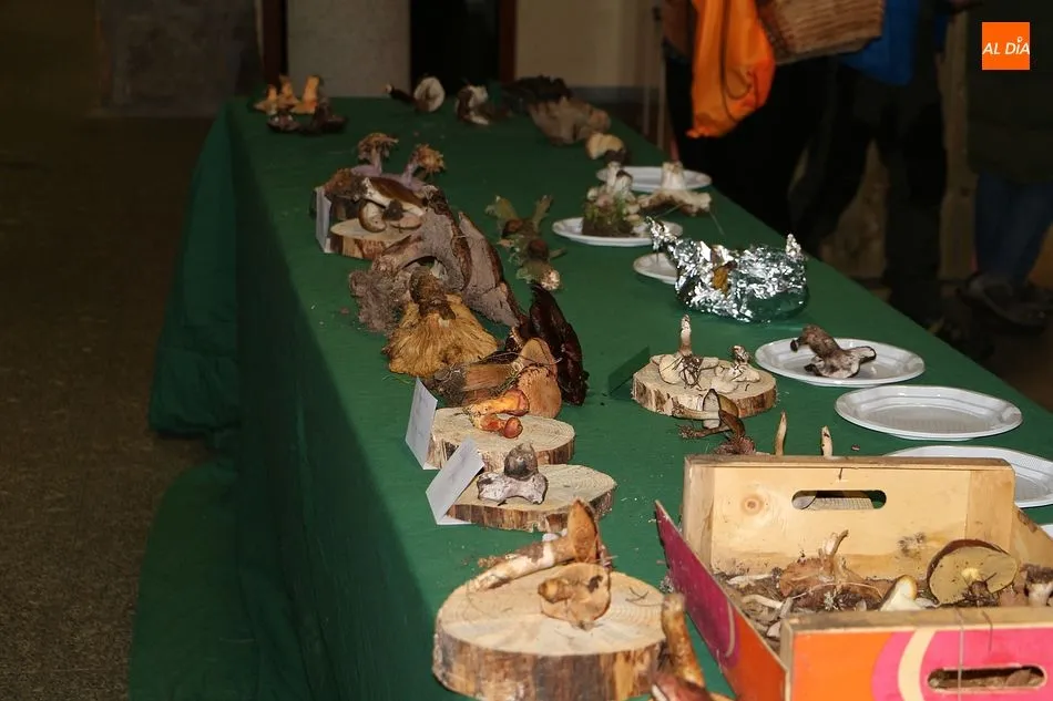 Foto 6 - Las jornadas micol&oacute;gicas llegan a la Casa del Parque