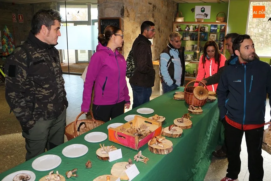 Foto 2 - Las jornadas micol&oacute;gicas llegan a la Casa del Parque