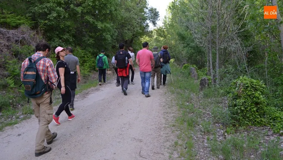 Senderismo por locinco términos