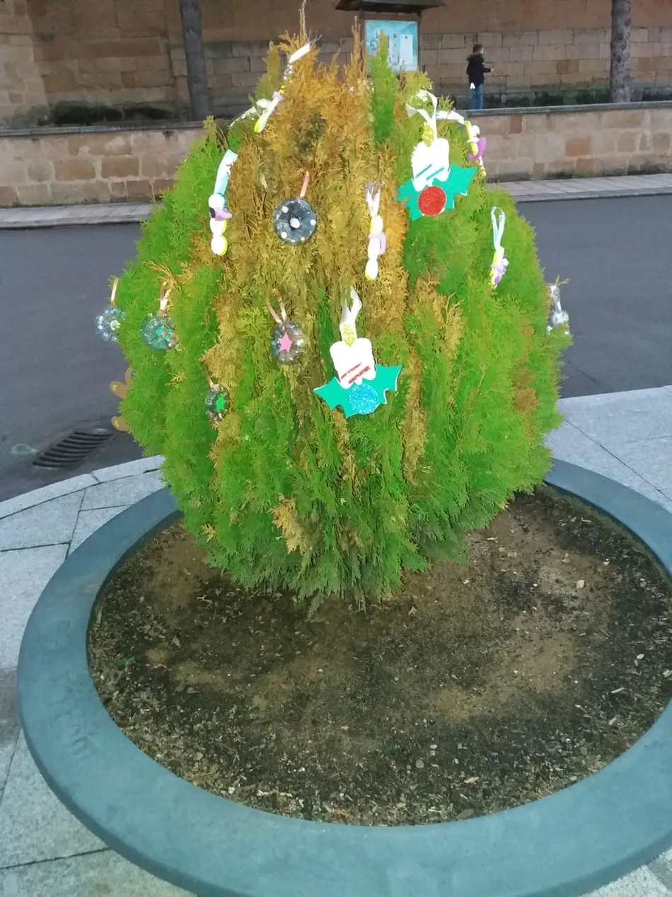 Foto 7 - La Navidad llega a Babilafuente