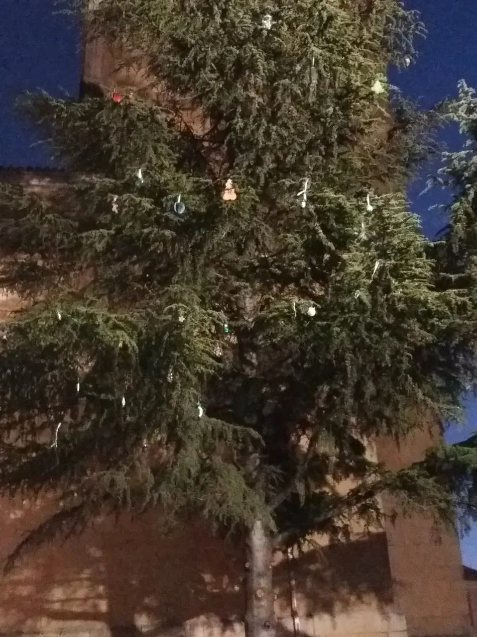 Foto 2 - La Navidad llega a Babilafuente