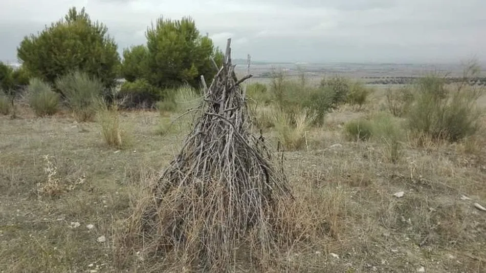 Refugio para perdices en Pinto y que han denunciado Ecologistas en Acción por entender que son puestos ilegales de caza