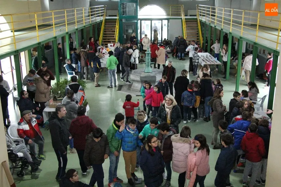 Foto 11 - Asprodes Vitigudino celebra el &lsquo;D&iacute;a Internacional de las personas con Discapacidad&rsquo;  