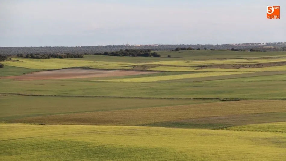 La Junta simplifica el trámite administrativo para los seguros agrarios