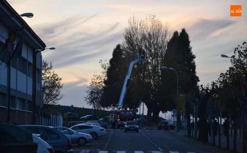 Foto 11 - Los Bomberos sustituyen la bandera de Espa&ntilde;a de la Glorieta del &Aacute;rbol Gordo  