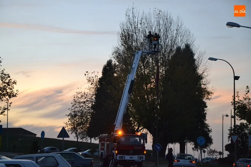 Foto 10 - Los Bomberos sustituyen la bandera de Espa&ntilde;a de la Glorieta del &Aacute;rbol Gordo  