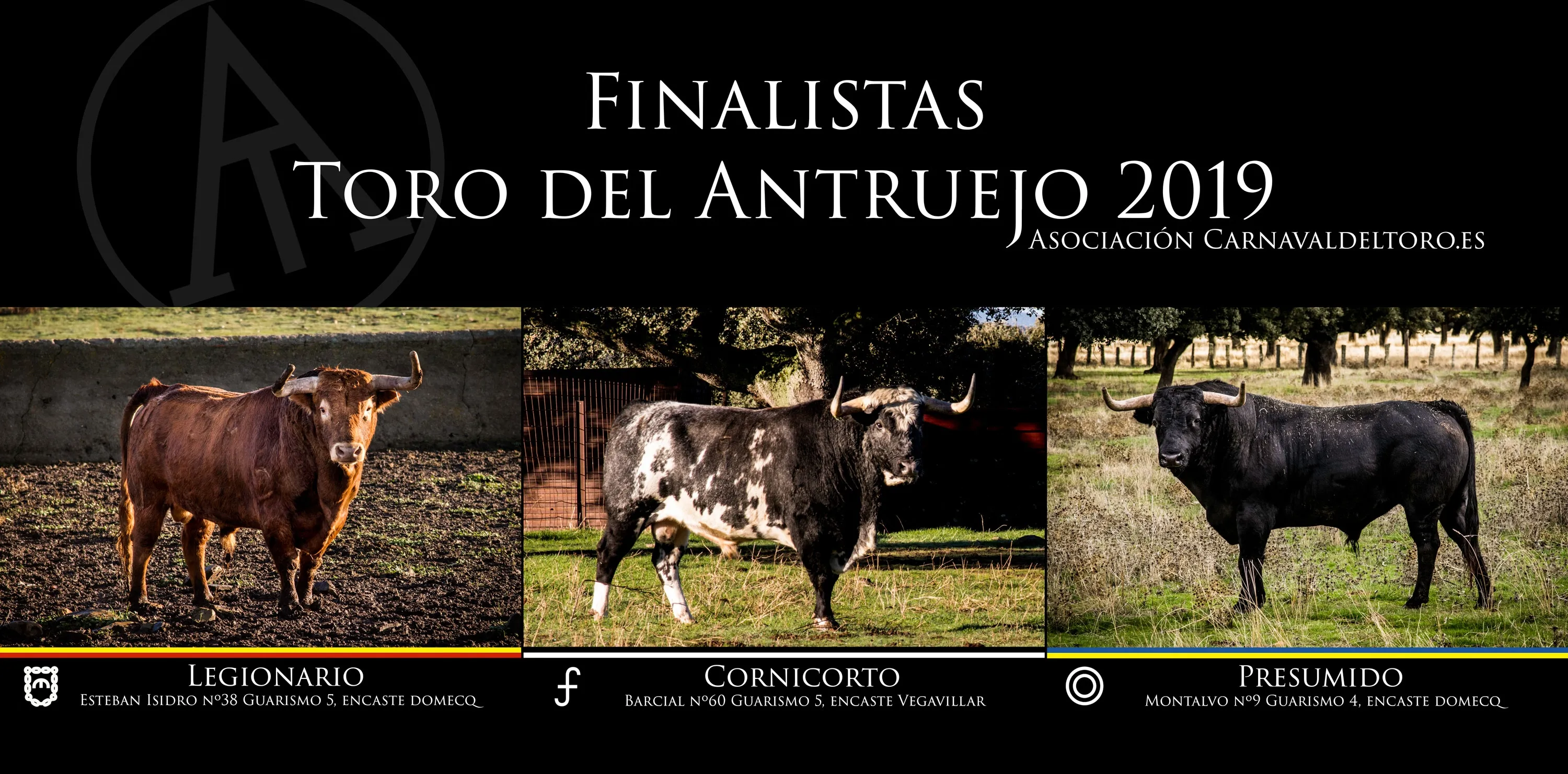 Legionario, Cornicorto y Presumido optan a ser el Toro del Antruejo 2019  