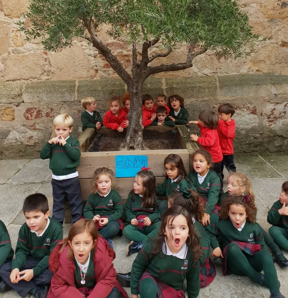 Foto 3 - El Colegio Calasanz se suma a la celebraci&oacute;n del D&iacute;a de la Constituci&oacute;n  