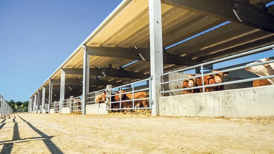 El próximo objetivo es alcanzar este reconocimiento de calidad para su cebadero