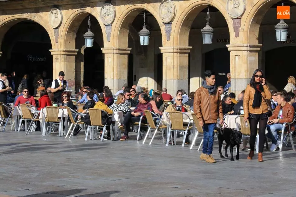 Foto 5 - Los hoteles de la ciudad y el alfoz rondan el 95% de ocupaci&oacute;n
