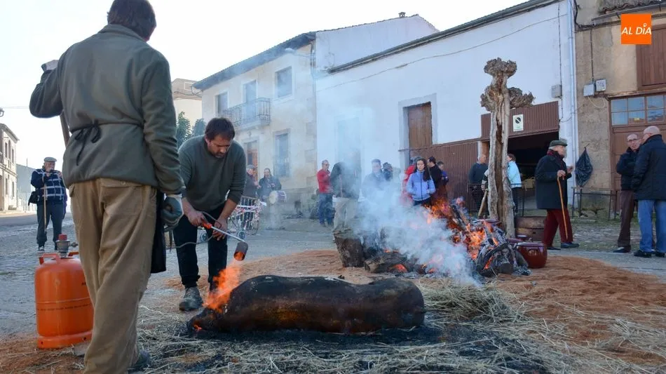 Foto 10 - Hinojosa de Duero ofrece un buen d&iacute;a de matanza t&iacute;pica del cerdo