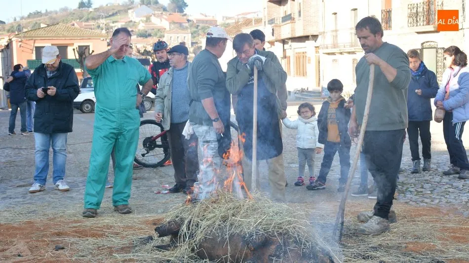 Foto 9 - Hinojosa de Duero ofrece un buen d&iacute;a de matanza t&iacute;pica del cerdo