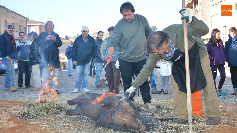 Foto 8 - Hinojosa de Duero ofrece un buen d&iacute;a de matanza t&iacute;pica del cerdo