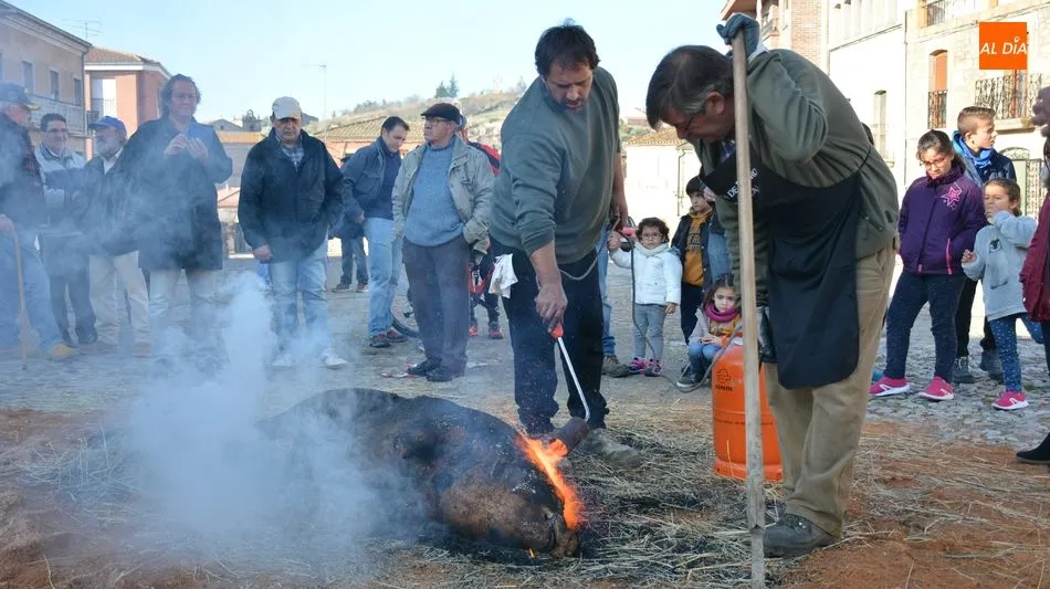Foto 7 - Hinojosa de Duero ofrece un buen d&iacute;a de matanza t&iacute;pica del cerdo