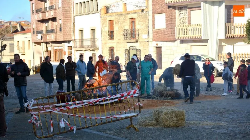 Foto 6 - Hinojosa de Duero ofrece un buen d&iacute;a de matanza t&iacute;pica del cerdo