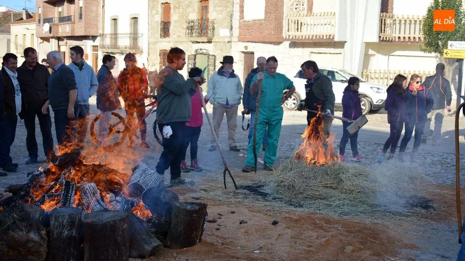 Foto 4 - Hinojosa de Duero ofrece un buen d&iacute;a de matanza t&iacute;pica del cerdo