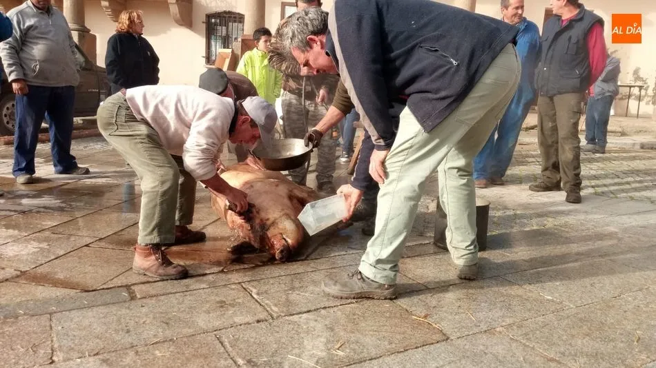 Foto 2 - Sobradillo se suma a las jornadas dedicadas a la matanza tradicional  