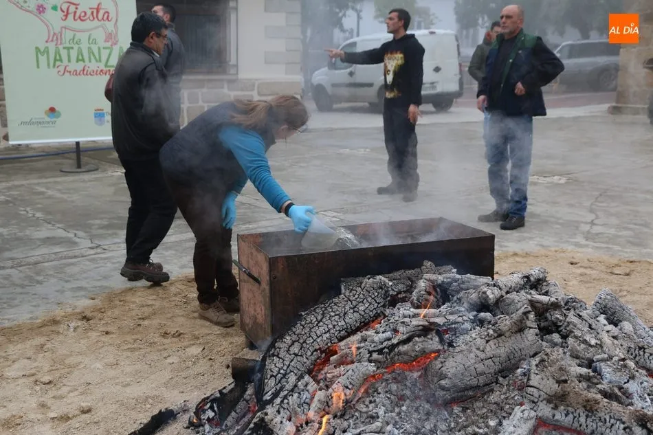 Foto 11 - Saucelle celebra con intensidad su X Matanza Tradicional  