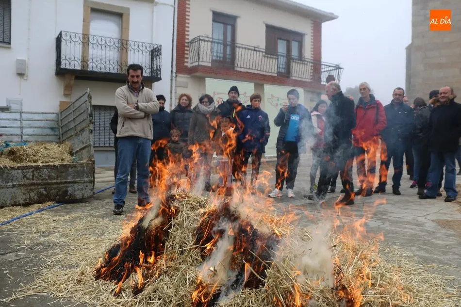Foto 10 - Saucelle celebra con intensidad su X Matanza Tradicional  