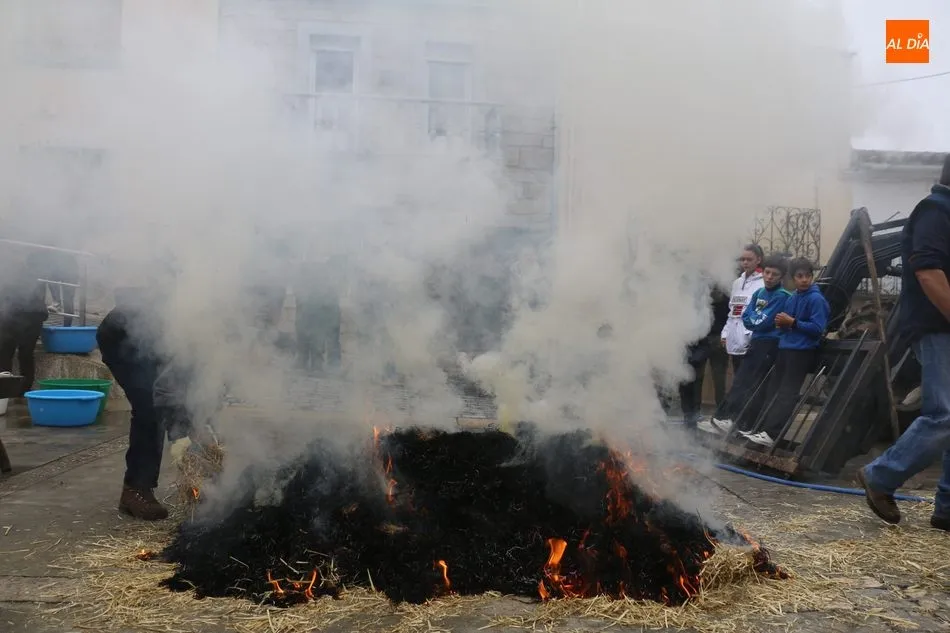 Foto 9 - Saucelle celebra con intensidad su X Matanza Tradicional  