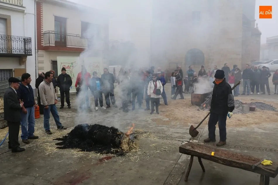 Foto 6 - Saucelle celebra con intensidad su X Matanza Tradicional  