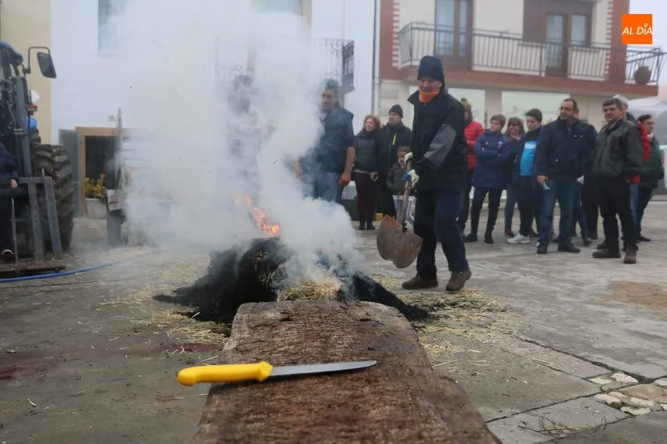 Foto 5 - Saucelle celebra con intensidad su X Matanza Tradicional  