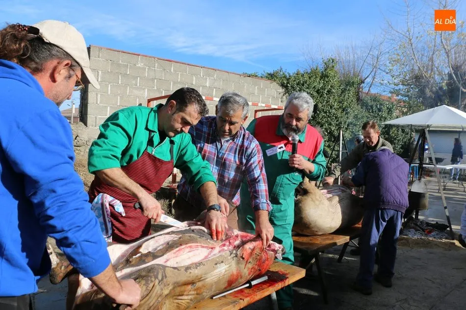 Foto 3 - Aut&eacute;ntica lecci&oacute;n matancera del televisivo Jos&eacute; Pinto en Zarza de Pumareda  